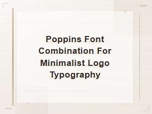 Poppins Font Combination for Minimalist Logo Typography